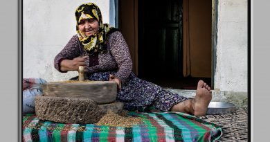 EFOD Ahmet AKIN “Buğdayın Serüveni” Proje Fotoğraf Atölyesi Sergisi