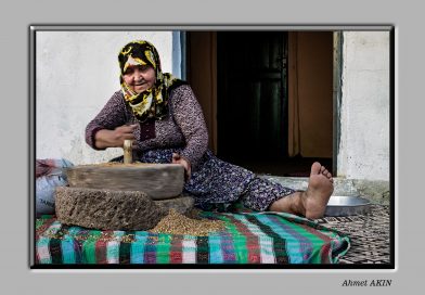 EFOD Ahmet AKIN “Buğdayın Serüveni” Proje Fotoğraf Atölyesi Sergisi